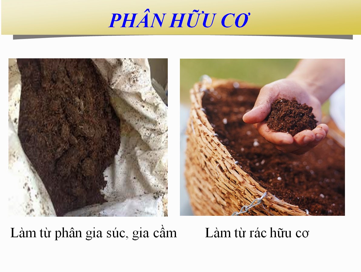 Phân hữu cơ - Cây Xanh Sơn Hà - Doanh Nghiệp TN Cây Xanh Trang Trí Sơn Hà Việt Nam